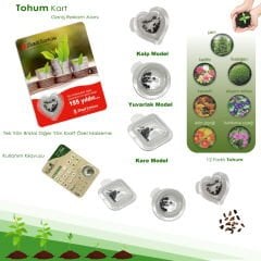 Kalp - Kare - Yuvarlak Tohum Kart